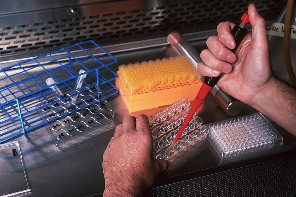 Two hands with a pipette filling the wells of a clear plastic culture plate inside a laboratory safety cabinet, beside a blue tube rack