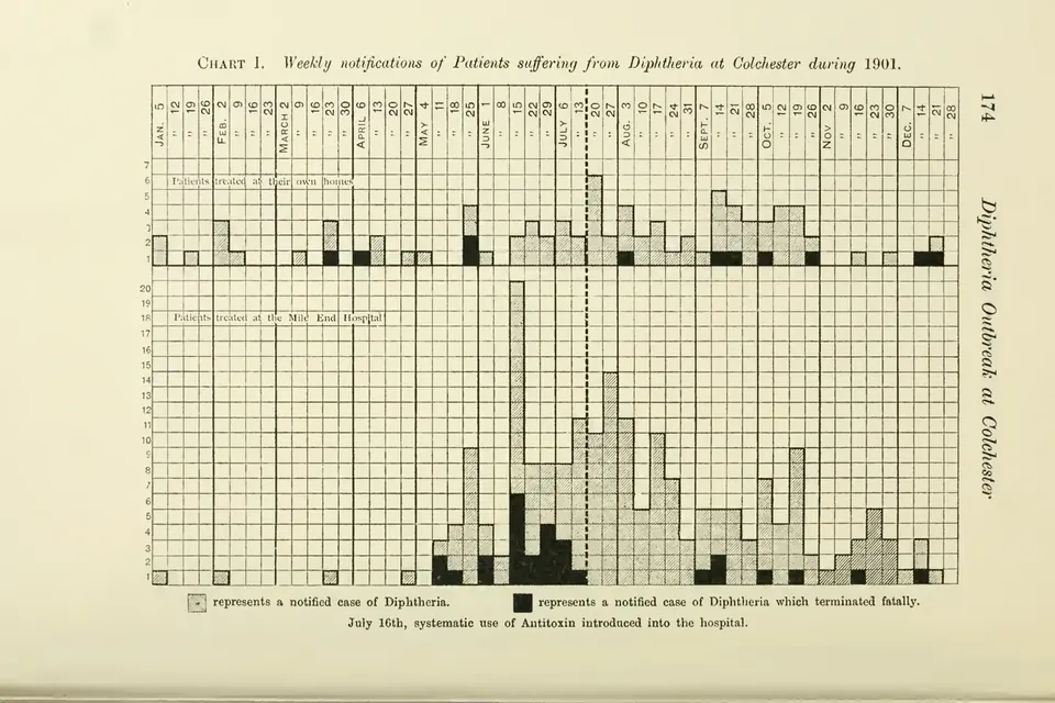 A printed grid chart of weekly diphtheria notifications in 1901, with columns of shaded squares rising to a peak in midsummer